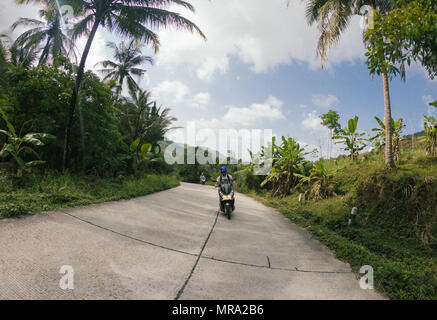 Mann fahren Fahrrad Roller auf der Straße mit Palmen in Thailand Stockfoto