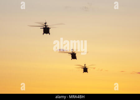 Drei Maryland Nationalgarde UH-60 Black Hawks fliegen, um Truppen während der Übung Maple lösen 17 im Camp Wainwright in Alberta, Kanada, 26. Mai 2017 abholen. Drei UH-60 Black Hawks und eine kanadische Chinook CH-147F eingefügt britische Truppen der Gegenmacht zu spielen. Übung Ahorn zu lösen, ist eine jährliche gemeinsame Ausbildungsveranstaltung für jede Eventualität Betrieb ausgelegt. Rund 4.000 kanadischen und 1.000 Service-Mitglieder aus den USA, Großbritannien, Australien, Neuseeland und Frankreich sind in der diesjährigen Übung Teil. (US National Guard Foto von Elizabeth Scott Spc.) Stockfoto