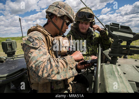 Captain David Wi, gemeinsame Terminal Angriff Controller für 3rd Air Naval Gunfire Liaison Company, Force Headquarters Gruppe, Marine Forces Reserve feeds Ansichten Video aus einer RQ-7 Schatten Unmanned Aerial Vehicle mit einem Scout Beobachter Reconnaissance Platoon, 2 Royal Canadian Regiment 26. Mai 2017, während des Trainings Maple lösen 17. Übung Ahorn zu beheben ist eine jährliche 3-wöchigen multinationale simulierten Krieg veranstaltet von der kanadischen Armee im kanadischen Manöver-Ausbildungszentrum in Camp Wainwright, Alberta, Kanada. In diesem Jahr unterstützt 3. ANGLICO Übung durch die Integration von zwei Feuerkraft Kontrollteams Stockfoto