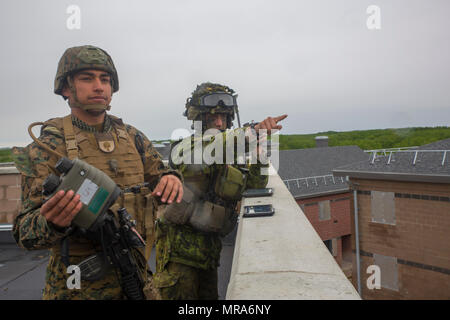 CPL. Daniel A. Reyes (links), ein gemeinsames Feuer Beobachter mit 3. Brigade, 3. Air Naval Gunfire Liaison Company, Force Headquarters Gruppe, Marine Forces Reserve betont Geländeeigenschaften, Canadian Army Captain Ethan McDonald (rechts), einem gemeinsamen terminal Angriff Controller mit Y Batterie, 2. Regiment, Königliche kanadische Pferd Artillerie, im kanadischen Manöver Training Center in Wainwright, Alberta, Kanada, während Übung Maple lösen 17 , 25. Mai 2017. Während der Übung arbeitete Marines aus 3. ANGLICO mit der kanadischen Armee, simulierte Artillerie zu vorgeplanten Ziele fordern. Stockfoto