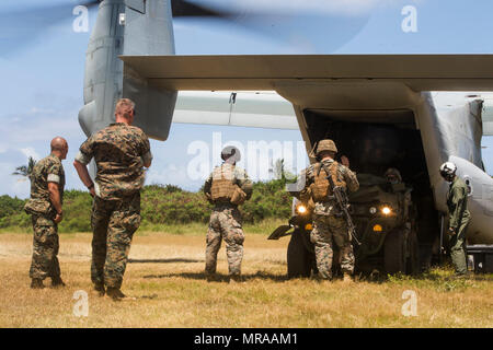 Oberstleutnant Benjamin Harrison, kommandierender Offizier der 1.Bataillon, 12 Marine Regiment, und Sgt. Maj. José Romero, das Bataillon Sergeant Major der 1 Mrd., 12 Marines, Watch Marines ein Interner Transport Fahrzeug auf eine MV-22 Osprey aircraft Last während einer Übung mit Marine Medium Tiltrotor Squadron 268 an Boondocker Training Bereich an Bord Marine Corps Base Hawaii am 31. Mai 2017. Das Training mit den Transport einer internen Transport Fahrzeug und einem 120 mm Mörser System zur direkten Unterstützung der Infanterie Einheiten zu erleichtern. (U.S. Marine Corps Foto von Lance Cpl. Matthäus Kirk) Stockfoto