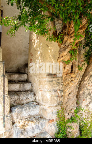 Eine charakteristische Treppe außerhalb der Burg von Caterina Cornaro in Asolo. Das Schloss ist heute die Heimat der Eleonora Duse Theater. Stockfoto