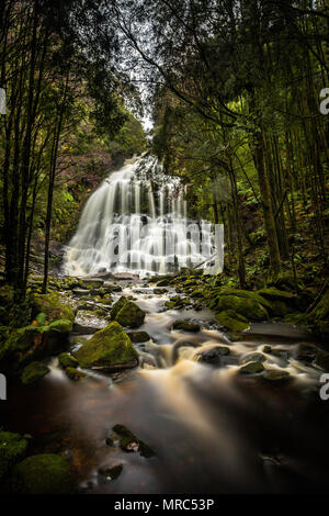 Langzeitaufnahme des Nelson Falls Wasserfalls in Tasmanien, Australien Stockfoto