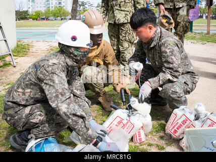 POHANG, Südkorea (14. April 2017) – Seabees von amphibischen Bau Bataillon (ACB) 1 und ROK Seabees von Naval Mobile Bau-Bataillon 1 und 2 freiwillig an einem lokalen Rehabilitationszentrum. ACB 1 beteiligt sich an Operation Pazifik erreichen Übung 2017, einer bilateralen Fortbildungsveranstaltung zur Bereitschaft zu gewährleisten und aufrechtzuerhalten der ROK-US-Allianz durch die Ausübung einer Bereich Distribution Center (ADC), ein Air Terminal liefern Punkt (AZP), kombinierte gemeinsame Logistik Over-the-Shore (CJLOTS), und die Verwendung von Schiene, Binnenschifffahrt, und Küsten Liftbetrieb der operativen validieren erreichen co Stockfoto