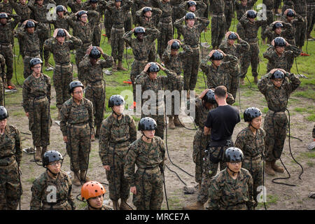 Us Marine Corps Rekruten mit Oscar Unternehmen, 4.BATAILLON und Mike Unternehmen, 3.BATAILLON, rekrutieren Training Regiment, besuchen eine Klasse am Seil Techniken auf der Marine Corps Depot rekrutieren, Parris Island, S.C., 6. Juni 2017. Rekruten lernen beide schnell Anseilen und Abseilen Techniken. (U.S. Marine Corps Foto von Cpl. Richard Currier/freigegeben) Stockfoto