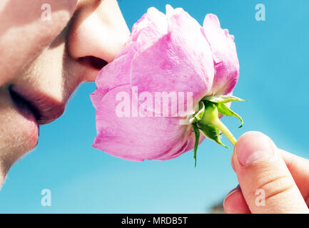 Sieben Jahre alter Junge duftende rosa Rose im Frühjahr Tag blauer Himmel Stockfoto