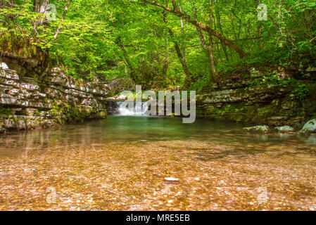 Schöner kleiner Wasserfall durch parallele Gesteinsschichten im Grand Canyon eingerahmt. Grüne Vegetation, Bäume und Moss überall im Frühling. Stockfoto