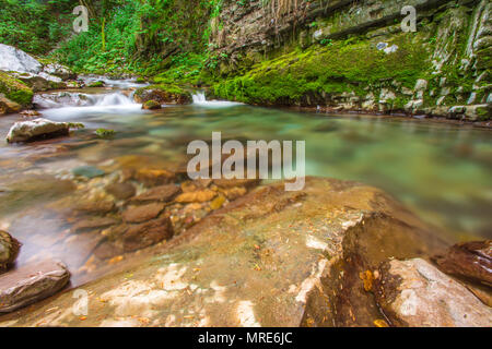 Friedlich, verborgener Strom fließt durch einen Moosigen Canyon, Schichten von Felsen und Geröll Futter den Creek. Grüne Vegetation und kleinem Wasserfall befindet. Stockfoto