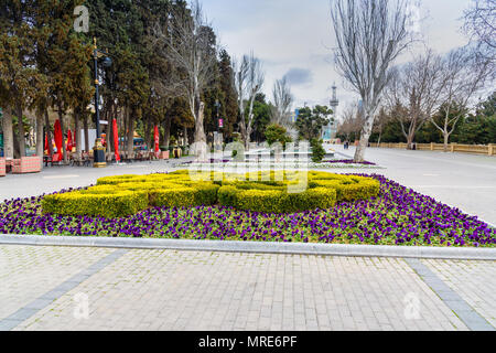 Baku, Aserbaidschan, 10. März 2018: schöne Blume Bett in Baku Boulevard im Frühjahr Stockfoto