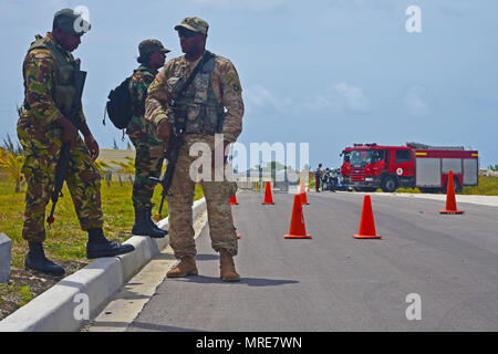 Mitglieder der Barbados Defence Force und ein Florida nationaler Scots Guards stand Guard zu einem Kontrollpunkt an eine Solaranlage bei Tradewinds in Barbados, Juni 8. Militärs und Zivilisten aus 20 Ländern beteiligen sich an der diesjährigen Übung in Barbados und Trinidad und Tobago 6. bis 17. Juni. (U.S. Army National Guard Foto von Sgt. Garrett L. Dipuma) Stockfoto