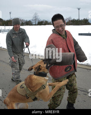 Drake, einen militärischen Arbeitshund mit den 35 Sicherheitskräfte Squadron, Angriffe Sgt. Shintarou Kinkuta, eine militärische Polizei Mitglied mit der Japan Masse Verteidigung-kraft, während einer dreitägigen Tour bei Misawa Air Base, Japan, Jan. 22, 2017. Am ersten Tag, 29 JGSDF Soldaten in Gruppen nach Berufsfeld, Kopplung mit ihren jeweiligen Air Force Einheit aufgeteilt. (U.S. Air Force Foto: Staff Sgt. Melanie A. Hutto) Stockfoto