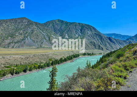 Türkis Katun Flusses in einem Bergtal - schöne Aussicht von der bunten Felsen am sonnigen Sommertag, Republik Altai, Russland Stockfoto