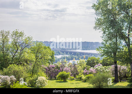 View of the city of Kiev from a height. City landscape. Overcast sky Stockfoto