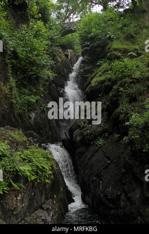 Aira Force Wasserfall Stockfoto