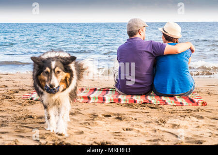 Gelangweilt hund Border Collie mit Sand und Meer an den Strand zu spielen. Inhaber der Mann und die Frau in der Liebe bleiben Sie sitzen in der Nähe der Ufer und der Wellen. Liebe c Stockfoto