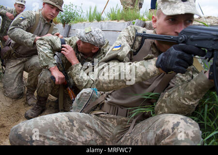 Eine ukrainische Soldaten aus dem 1 Airmobile Bataillon, 79 Air Assault Brigade gilt ein stauschlauch an einen anderen Soldaten mit simulierten Schrapnell Wunden mehr Soldaten der Sicherheit während des Grabens Angriff und Clearing Ausbildung an der Yavoriv Combat Training Center auf dem internationalen Friedens und der Sicherheit, in der Nähe der Yavoriv, der Ukraine, am 13. Juni. Yavoriv CTC Personal, zusammen mit Mentoren aus 45Th der US Army Infantry Brigade Combat Team, führte die Ausbildung von Soldaten aus dem 1-79 Th während der Drehung des Bataillon durch die YAVORIV CTC. Der 45. ist in der Ukraine als Teil des t bereitgestellt Stockfoto