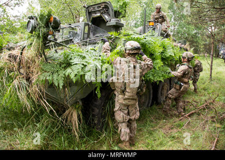 Battle Group Polen US-Soldaten camouflage ihr Fahrzeug im taktischen Bereich im Bereich Ausbildung übung Teil von Sabre Streik 2017 Bemowo Piskie, Bemowo Piskie, Polen, 13. Juni 2017. Sabre Streik 17 ist eine US-Army Europe-geführten Multinationalen Kräfte kombiniert jährlich durchgeführten Studie des NATO-Bündnisses im gesamten Ostseeraum und Polen zu verbessern. Die diesjährige Übung beinhaltet integrierte und synchronisierte Abschreckung-orientierte Ausbildung für die Interoperabilität und die Bereitschaft der 20 teilnehmenden Nationen Streitkräfte zu verbessern. (U.S. Armee Foto von Personal Sg Stockfoto