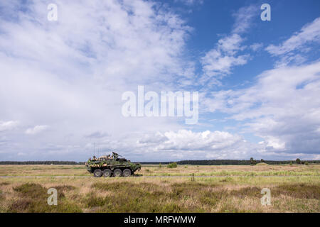 Eine Battle Group Polen USA M1126 Stryker Laufwerke in einem zugewiesen, während der Bereich Ausbildung übung Teil von Sabre Streik 2017 Bemowo Piskie, Polen, 13. Juni 2017. Sabre Streik 17 ist eine US-Army Europe-geführten Multinationalen Kräfte kombiniert jährlich durchgeführten Studie des NATO-Bündnisses im gesamten Ostseeraum und Polen zu verbessern. Die diesjährige Übung beinhaltet integrierte und synchronisierte Abschreckung-orientierte Ausbildung für die Interoperabilität und die Bereitschaft der 20 teilnehmenden Nationen Streitkräfte zu verbessern. (U.S. Armee Foto: Staff Sgt. Brian Kohl) Stockfoto