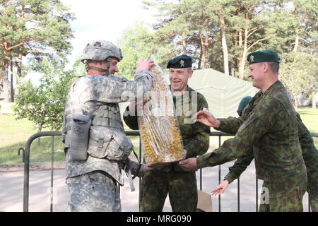 Oberstleutnant Jason Benson mit dem Th 2-136 kombinierte Waffen Bataillon erhält eine traditionelle litauische Kuchen von Oberst Arturas Radvilas, Kommandant der motorisierten Infanterie Brigade Žemaitija, zu Ehren der US-Armee 242nd Geburtstag Juni 14, 2017 in Pabrade, Litauen. Kroatisch, Niederländisch, Norwegisch, Litauisch, Deutsch, Portugiesisch und Army National Guard Kräfte aus Pennsylvania und Minnesota schlossen sich ihnen auch während der Feier während der Übung Iron Wolf 17. (Texas Army National Guard Foto von Sgt. Samuel De Leon, 100 MPAD/freigegeben) Stockfoto