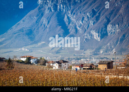 Trient Vorstädte, bouses zwischen Weinbergen, mit Berg Hintergrund im Herbst Stockfoto