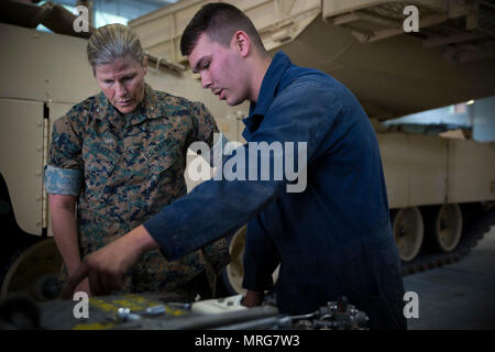 Brig. Gen. Helen Pratt, 4. Marine Logistics Group Kommandierender General, bespricht die Instandhaltung mit einem Marine aus dem Kampf Logistik Bataillons 451, während das Personal temporäre Augmentee Programm (PTAP), 14. Juni 2017 in Stjørdal, Norwegen. Die PTAP-Programm vorgesehenen Reserve Marines hands-on-Trainings in der Wartung von Marine Corps Vorpositionierung Programm (MCPP-N) für zwei Wochen das jährliche Training. Die Vorwärtsbewegung der Ausrüstung durch die Mcpp-N reduziert die Reaktionszeit durch den Wegfall von Standorten in den kontinentalen Vereinigten Staaten einzusetzen. (U.S. Stockfoto