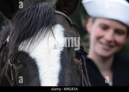 Petty Officer 2nd class Keisha Kerr, Mate und Weltkrieg ein Coast Guard Bootsmann montiert beach Patrol reenactor, hält die Zügel ihrer Pferde an der vierten Cliff Naherholungsgebiet Humarock, Massachusetts, Montag, 5. Juni 2017. Kerr und ihr Vater, Wayne Ormsbee, bei Paraden in New England, wo sie die Öffentlichkeit über die Geschichte des montierten Patrouillen erziehen teilnehmen. (U.S. Coast Guard video von Petty Officer 3. Klasse Andrew Barresi) Stockfoto