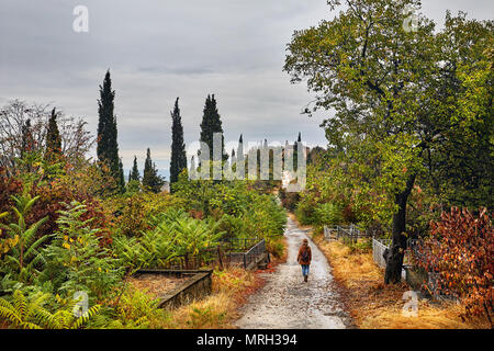 Touristische Frau in hat zu Fuß die Straße runter am Friedhof an der Herbst in Signagi, Georgien Stockfoto