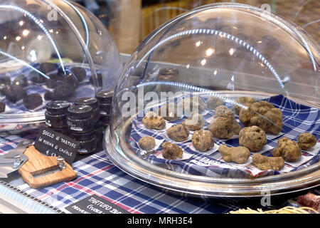 Italienische schwarze und weiße Trüffel (Tuber Magnatum). Festivals und Messen Italien Stockfoto