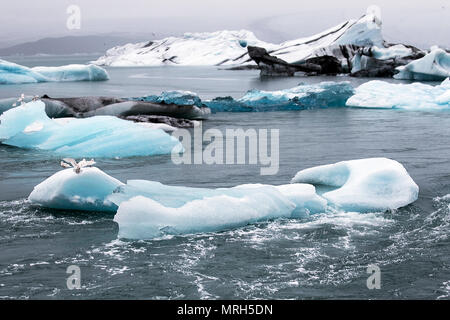 Eisschollen an der Jokulsarlon Gletscherlagune bei Breiðamerkurjökull, einem Auslaufgletscher des herrlichen Vatnajökull Gletschers, der dahinter liegt. Eisscholle, Eisschwimmen, Meereis, Drift-Eis, blaues Eis Eisscholle, Meereisbildung und -Merkmale, schwimmende Eisblöcke, Flöße und Hummocks, eine große Packung schwimmenden Eises am Diamond Beach. Der Jokulsarlon Gletscher, treiben, schwimmen, schmelzen, Erwärmung, polar, arktisch, global, Gletscher, blau, kalt, tauen Landschaft, Ozean Lagune schwarzen Sandstrand, Island. Stockfoto