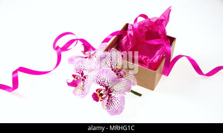 Orchidee rosa Blüten und eine kleine beige Geschenkbox mit einem Satinband auf weißem Hintergrund Stockfoto