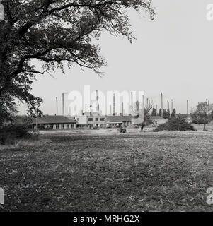 1950, historische, Blick über ein Feld zeigt die Schornsteine der London Brick Company, Stewartby, Bedfordshire, England, UK. Die ziegelei wurden größte Brennofen der Welt und neben dem riesigen Industrial Site, war ein 'Modell' Dorf gebaut, um die Arbeiter zu Haus. Ursprünglich eine landwirtschaftliche Fläche namens Wootton Pillinge, wurde es umbenannt in tewartby" im Jahr 1937 nach der Stewart Familie, die Ziegelei angelegt. Stockfoto