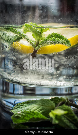Mineralwasser mit Zitrone und Minze Stockfoto