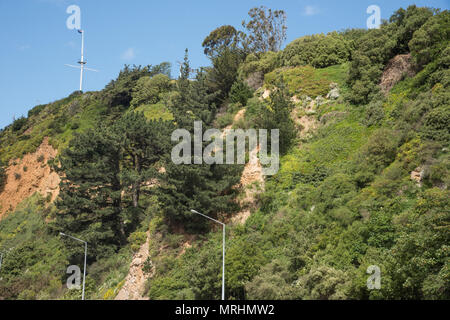 Üppige Flora und Rock auf steilen Berghang unter einem klaren blauen Himmel in Port Chalmers, Dunedin, Neuseeland Stockfoto