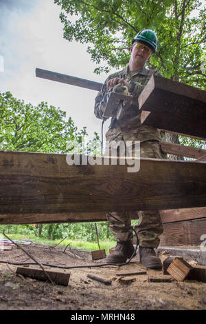 Dänische Soldaten Lanze Cpl. Stephen Bjerre, 3. Bau Bataillon, Dänische Armee, Sägen, ein Stück Holz für eine Fußgängerbrücke während des goldenen Coyote Übung im Custer State Park, Custer, S.D., 16. Juni 2017. Die goldenen Coyote Übung ist eine dreiphasige, Szenario-driven Übung in den Black Hills von South Dakota und Wyoming, mit dem Kommandanten auf der Mission wesentliche Anforderungen der Aufgabe, Krieger Aufgaben und Übungen zu konzentrieren. (U.S. Armee Foto von SPC. Kevin Kim) Stockfoto