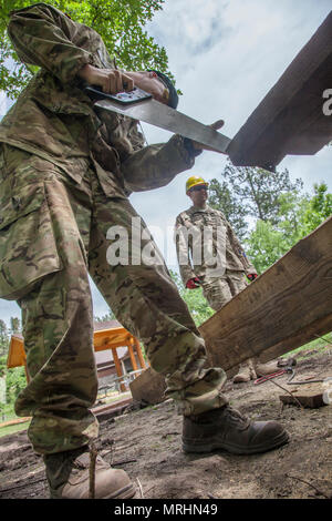 Dänische Soldaten Lanze Cpl. Stephen Bjerre, 3. Bau Bataillon, Dänische Armee sägen ein Stück Holz für eine Fußgängerbrücke während des goldenen Coyote Übung im Custer State Park, Custer, S.D., 16. Juni 2017. Die goldenen Coyote Übung ist eine dreiphasige, Szenario-driven Übung in den Black Hills von South Dakota und Wyoming, mit dem Kommandanten auf der Mission wesentliche Anforderungen der Aufgabe, Krieger Aufgaben und Übungen zu konzentrieren. (U.S. Armee Foto von SPC. Kevin Kim) Stockfoto