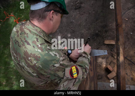 Lance Cpl. Stephen Bjerre, 3. Bau Bataillon, Dänische Armee, Maßnahmen einen Schnitt für den Bau einer Fußgängerbrücke im Custer State Park in Unterstützung der Goldenen Coyote Übung, Custer, S.D. Juni 16th, 2017. Die goldenen Coyote Übung ist eine dreiphasige, Szenario-driven Übung in den Black Hills von South Dakota und Wyoming, mit dem Kommandanten auf der Mission wesentliche Anforderungen der Aufgabe, Krieger Aufgaben und Übungen zu konzentrieren. (U.S. Armee Foto von SPC. Mitchell Murphy) Stockfoto