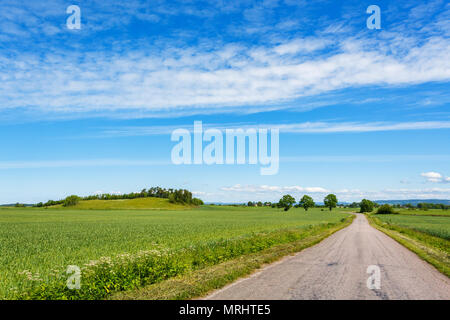 Country Road vorbei durch die Felder Stockfoto