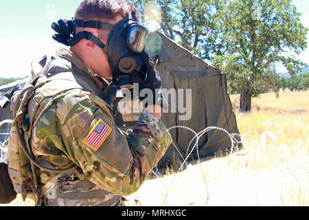 Us-Armee Pvt. Erste Klasse David Nelson der 357 Military Police Company, 200 Militärpolizei Kommando, zieht seine schützende Maske während eines simulierten gas Angriff auf Fort Hunter Liggett, Calif., 16. Juni 2017. Mehr als 3000 US-Army Reserve Soldaten beteiligen sich an der 84. Krieger Ausbildung Befehl Übung (Warex) 19-17-03 am Fort Hunter Liggett, Calif.; die Warex ist eine groß angelegte kollektive Training Plattform fähig, tödliche generieren und bereit, Kräfte zu bekämpfen. Us-Armee Foto von Kapitän Patrick Koch. Stockfoto