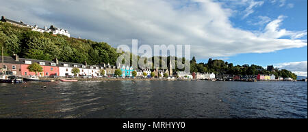 Tobermory Hafen mit bunten Häusern Mull in Schottland Stockfoto