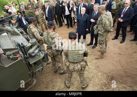 Litauische Präsidentin Dalia Grybauskaitė (Mitte), und NATO-Generalsekretär Jens Stoltenberg talk mit US-Armee lt Col Steven Gventer, Commander, Battle Group Polen und Battle Group Polen Großbritannien Soldaten während der statische Anzeige nach dem Wasser Kreuzung Demonstration für Verehrte Besucher während Eisen Wolf 2017 als Teil der Sabre Streik 2017 in der Nähe von Rukla, Litauen, 20. Juni 2017. Sabre Streik 17 ist eine US-Army Europe-geführten Multinationalen Kräfte kombiniert jährlich durchgeführten Studie des NATO-Bündnisses im gesamten Ostseeraum und Polen zu verbessern. Die diesjährige Übung schließt Integra Stockfoto