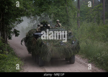 Ein US-M1126 Stryker, fährt durch einen Wald während Sabre Streik 17 in Rukla, Litauen, 20. Juni 2017. Sabre Streik 17 ist eine US-Army Europe-geführten Multinationalen Kräfte kombiniert jährlich durchgeführten Studie des NATO-Bündnisses im gesamten Ostseeraum und Polen zu verbessern. Die diesjährige Übung beinhaltet integrierte und synchronisierte Abschreckung-orientierte Ausbildung für die Interoperabilität und die Bereitschaft der 20 teilnehmenden Nationen Streitkräfte zu verbessern (U.S. Army Photo von SPC. Brandon Best) Stockfoto