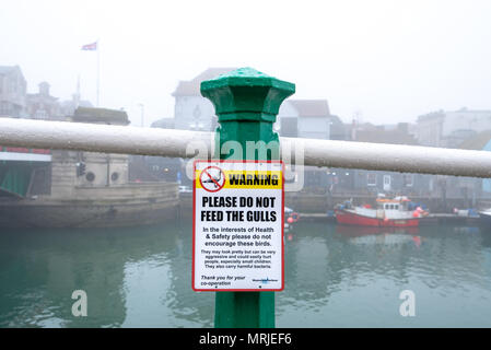 Eine höfliche Warnschild "Bitte fragen Sie die Möwen' zu einem grünen Handlauf Pfosten in den nebligen Stadt Dorchester, Dorset, Großbritannien nicht füttern. Stockfoto