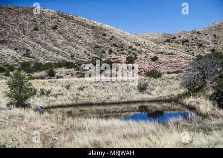 Cuenca los Ojos Naturschutzgebiet in Sonora MEXIKO. Reserva natural Cuenca los Ojos Die Cuenca Los Ojos Stiftung arbeitet zu bewahren und die bi-Wiederherstellung Stockfoto
