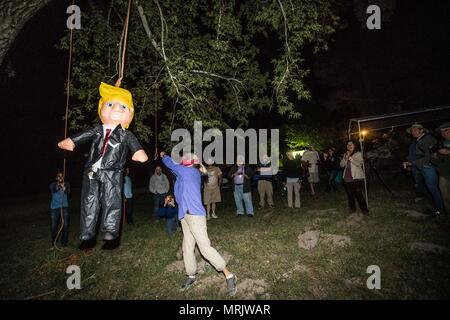 Der fotojournalist Luis Gutierrez de Norte Foto und Biologen aus den USA und Mexiko, mit einem Holzstab, ein Donald Trump piñata. Stockfoto