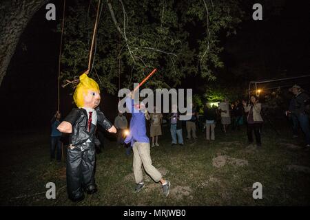 Der fotojournalist Luis Gutierrez de Norte Foto und Biologen aus den USA und Mexiko, mit einem Holzstab, ein Donald Trump piñata. Stockfoto
