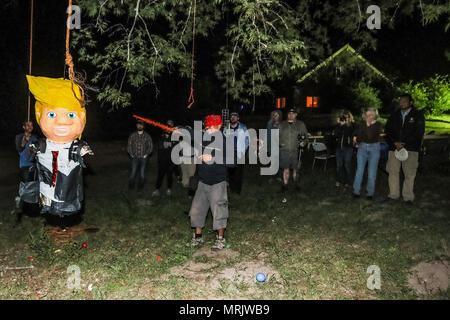 Der fotojournalist Luis Gutierrez de Norte Foto und Biologen aus den USA und Mexiko, mit einem Holzstab, ein Donald Trump piñata. Stockfoto