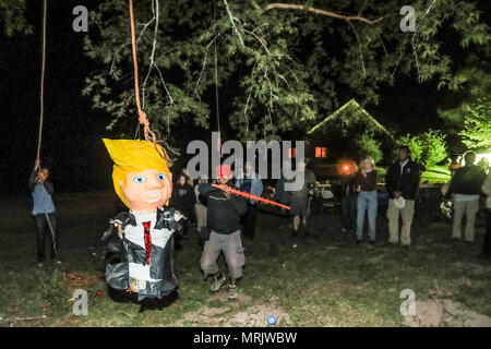 Der fotojournalist Luis Gutierrez de Norte Foto und Biologen aus den USA und Mexiko, mit einem Holzstab, ein Donald Trump piñata. Stockfoto