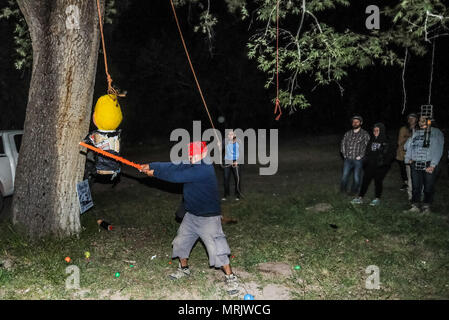 Der fotojournalist Luis Gutierrez de Norte Foto und Biologen aus den USA und Mexiko, mit einem Holzstab, ein Donald Trump piñata. Stockfoto