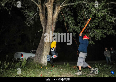 Der fotojournalist Luis Gutierrez de Norte Foto und Biologen aus den USA und Mexiko, mit einem Holzstab, ein Donald Trump piñata. Stockfoto