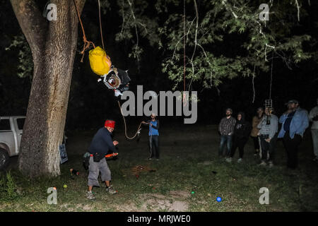 Der fotojournalist Luis Gutierrez de Norte Foto und Biologen aus den USA und Mexiko, mit einem Holzstab, ein Donald Trump piñata. Stockfoto
